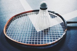 badminton- Themenfoto