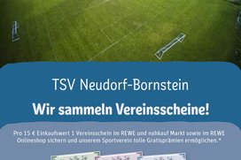 Scheine-für-Vereine