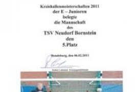 E1 spielte tolle Endrunde bei Kreishallenmeisterschaft