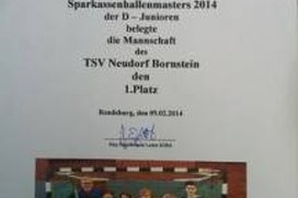 D-Jugend wird Kreishallenmeister 2014