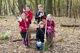 Herbstnebeljagd 2011