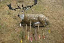 Hirschjagd in der Kieskuhle